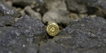 Adolescente que atacó a balazos a perrito queda en libertad en Sinaloa tras acuerdo; deberá asistir a terapia